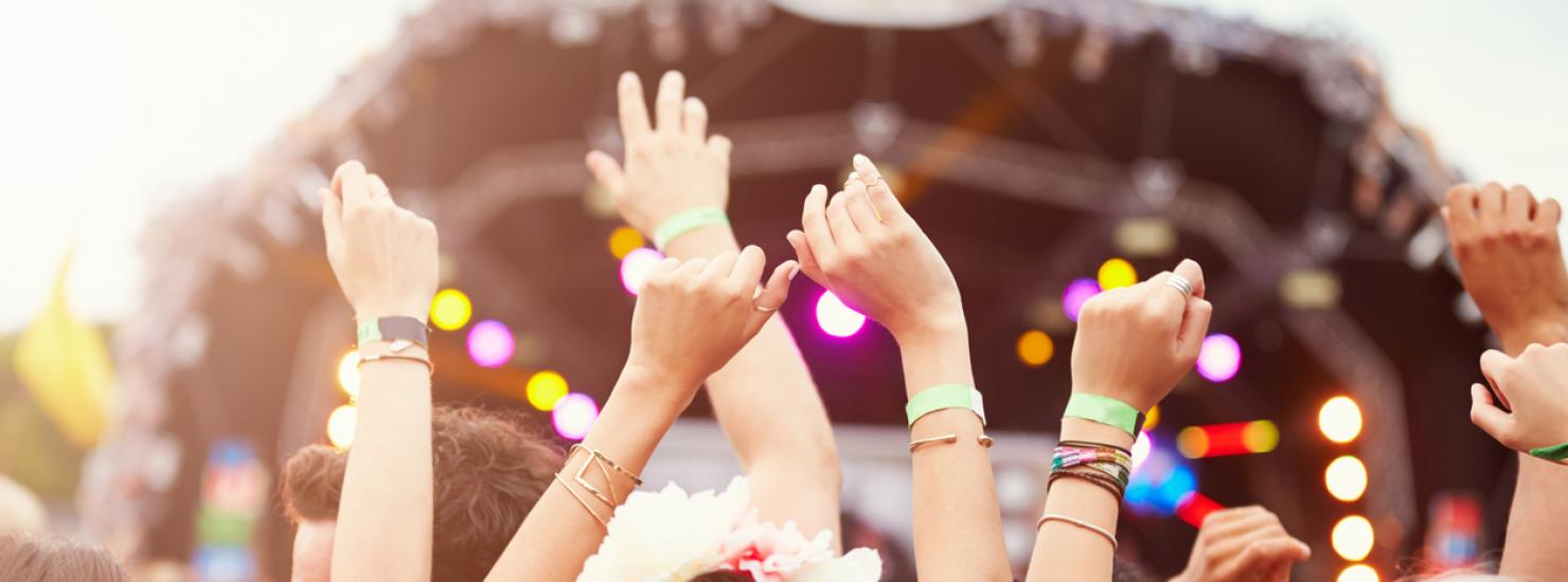 Crowd at festival